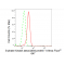 LifeSab™ SKP1 Rabbit mAb (20 μl)