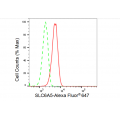 LifeSab™ SLC6A5 Rabbit mAb (20 μl)