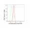 LifeSab™ SLC6A5 Rabbit mAb (20 μl)