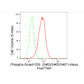 LifeSab™ Phospho-Smad1/5/9 (S463/S465/S467) Rabbit mAb (20 μl)