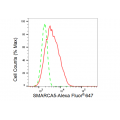 LifeSab™ SMARCA5 Rabbit mAb (20 μl)