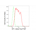 LifeSab™ SP1 Rabbit mAb (20 μl)