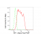 LifeSab™ SP1 Rabbit mAb (20 μl)