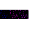 LifeSab™ SP1 Rabbit mAb (20 μl)