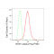 LifeSab™ STAT1 Rabbit mAb (20 μl)