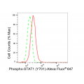 LifeSab™ Phospho-STAT1 (Y701) Rabbit mAb (20 μl)