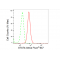 LifeSab™ STAT4 Rabbit mAb (20 μl)