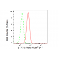 LifeSab™ STAT6 Rabbit mAb (20 μl)