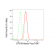 LifeSab™ STAT6 Rabbit mAb (20 μl)