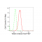 LifeSab™ Tensin 4 Rabbit mAb (20 μl)