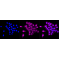 LifeSab™ Tensin 4 Rabbit mAb (20 μl)