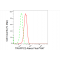 LifeSab™ TRAPPC2 Rabbit mAb (20 μl)