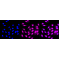 LifeSab™ TXN Rabbit mAb (20 μl)