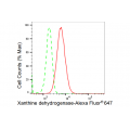 LifeSab™ XDH Rabbit mAb (20 μl)