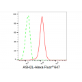 LifeSab™ ASH2L Rabbit mAb (20 μl)