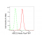 LifeSab™ ABCC2 Rabbit mAb (20 μl)