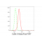 LifeSab™ Cullin 3 Rabbit mAb (20 μl)