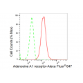 LifeSab™ ADORA1 Rabbit mAb (20 μl)