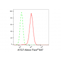 LifeSab™ ATG7 Rabbit mAb (20 μl)