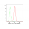 LifeSab™ ATG7 Rabbit mAb (20 μl)