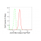 LifeSab™ ALDH16A1 Rabbit mAb (20 μl)