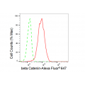 LifeSab™ CTNNB Rabbit mAb (20 μl)