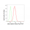 LifeSab™ CTNNB Rabbit mAb (20 μl)