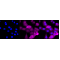 LifeSab™ ANGPTL3 Rabbit mAb (20 μl)