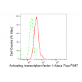 LifeSab™ ATF1 Rabbit mAb (20 μl)