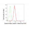 LifeSab™ CK2A1 Rabbit mAb (20 μl)