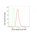 LifeSab™ ATG3 Rabbit mAb (20 μl)