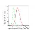 LifeSab™ AURKB Rabbit mAb (20 μl)