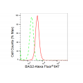 LifeSab™ BAG2 Rabbit mAb (20 μl)