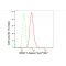 LifeSab™ BRAT1 Rabbit mAb (20 μl)