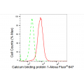 LifeSab™ CABP1 Rabbit mAb (20 μl)