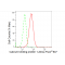 LifeSab™ CABP1 Rabbit mAb (20 μl)