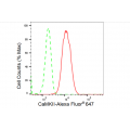 LifeSab™ CaMKII Rabbit mAb (20 μl)