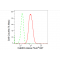 LifeSab™ CaMKII Rabbit mAb (20 μl)