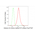 LifeSab™ Histone H3 (mono methyl R17) Rabbit mAb (20 μl)