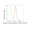 LifeSab™ Histone H3 (mono methyl R17) Rabbit mAb (20 μl)