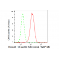 LifeSab™ Histone H3 (acetyl K36) Rabbit mAb (20 μl)