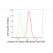 LifeSab™ Histone H3 (acetyl K36) Rabbit mAb (20 μl)