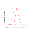 LifeSab™ Histone H3 (acetyl K9) Rabbit mAb (20 μl)