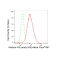 LifeSab™ Histone H3 (acetyl K9) Rabbit mAb (20 μl)