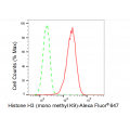 LifeSab™ Histone H3 (mono methyl K9) Rabbit mAb (20 μl)