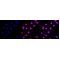 LifeSab™ Histone H3 (mono methyl K14) Rabbit mAb (20 μl)