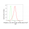 LifeSab™ Phospho-c-Jun (S73)+JunD (S100) Rabbit mAb (20 μl)