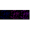 LifeSab™ Phospho-c-Jun (S73)+JunD (S100) Rabbit mAb (20 μl)