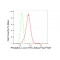 LifeSab™ Phospho-c-Jun (T91) Rabbit mAb (20 μl)