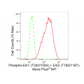 LifeSab™ Phospho-Erk1 (T202/Y204) + Erk2 (T185/Y187) Rabbit mAb (20 μl)